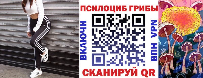 Псилоцибиновые грибы Psilocybe OMG как зайти Мамадыш